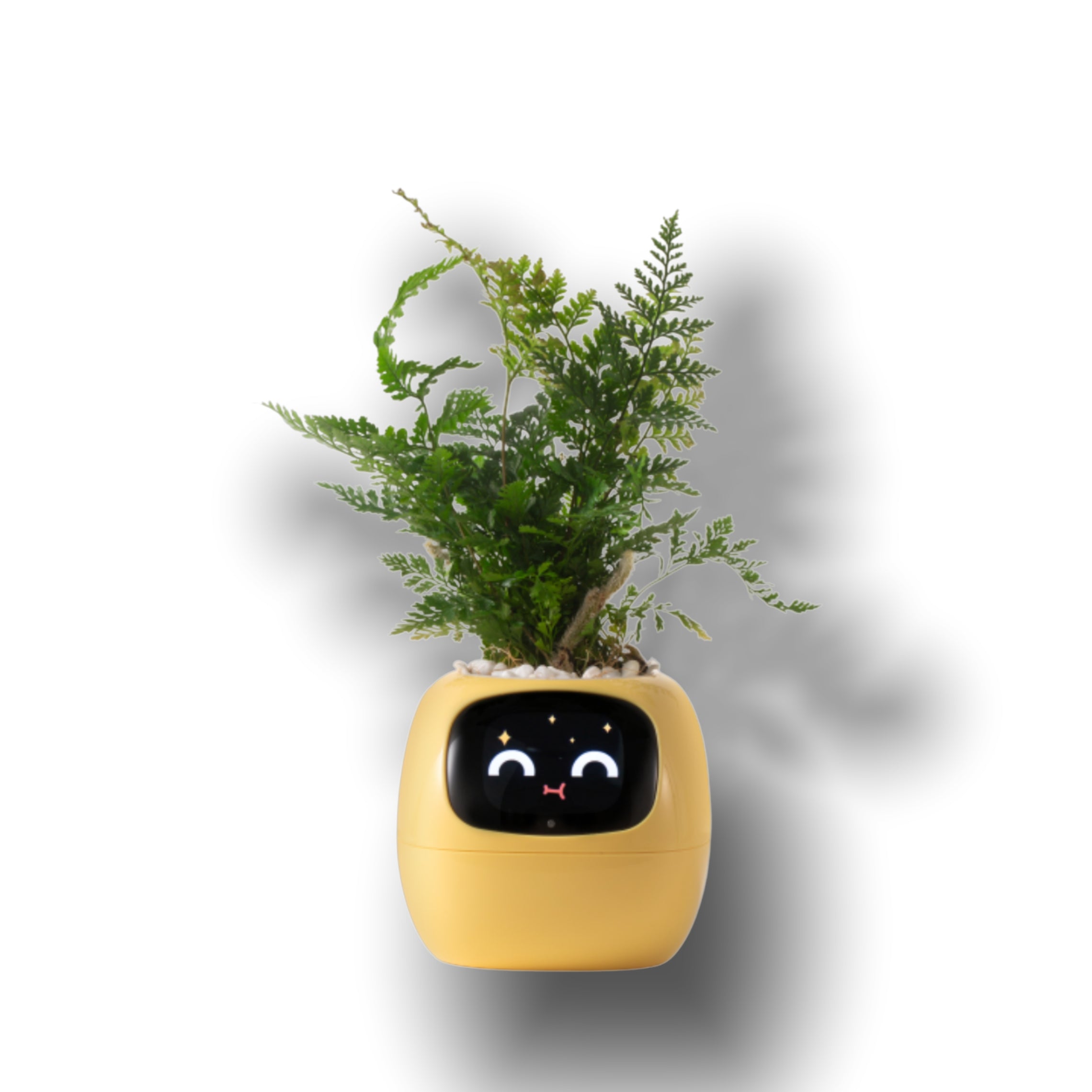 Smart Ivy Smart Pet Planter