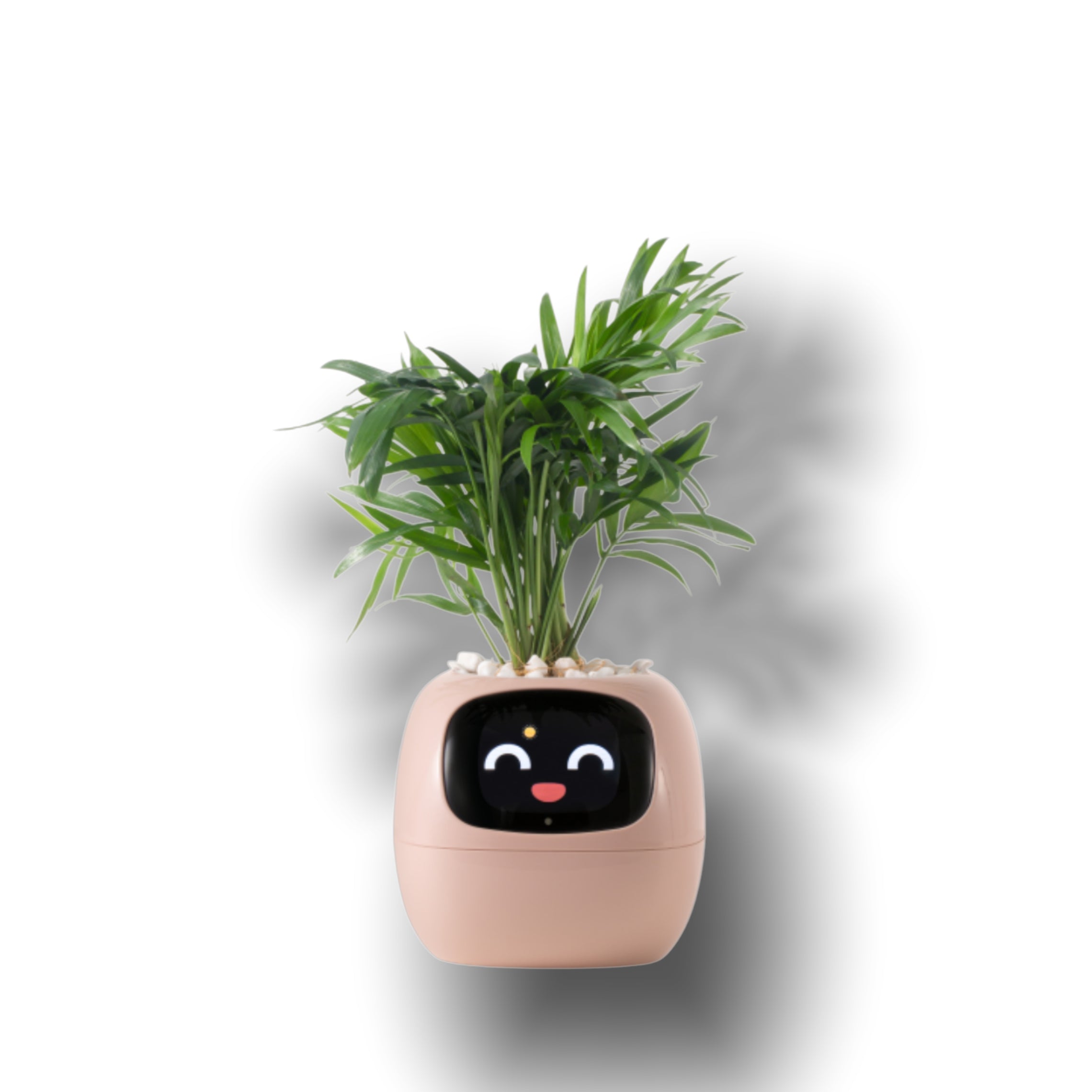 Smart Ivy Smart Pet Planter