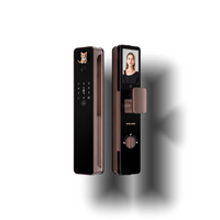 Smart 3D Face Recognition Lock