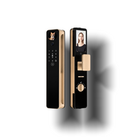 Smart 3D Face Recognition Lock