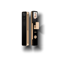 Smart 3D Face Recognition Lock
