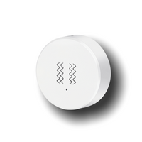 Vibration Sensor