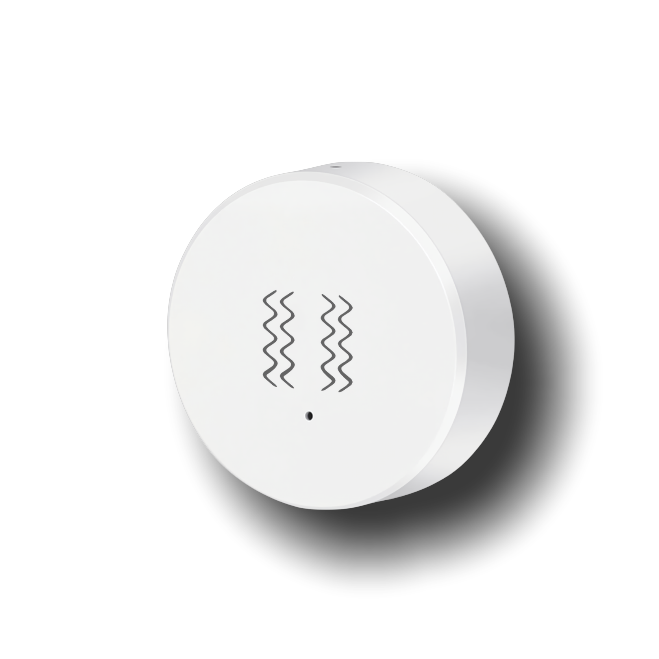 Vibration Sensor