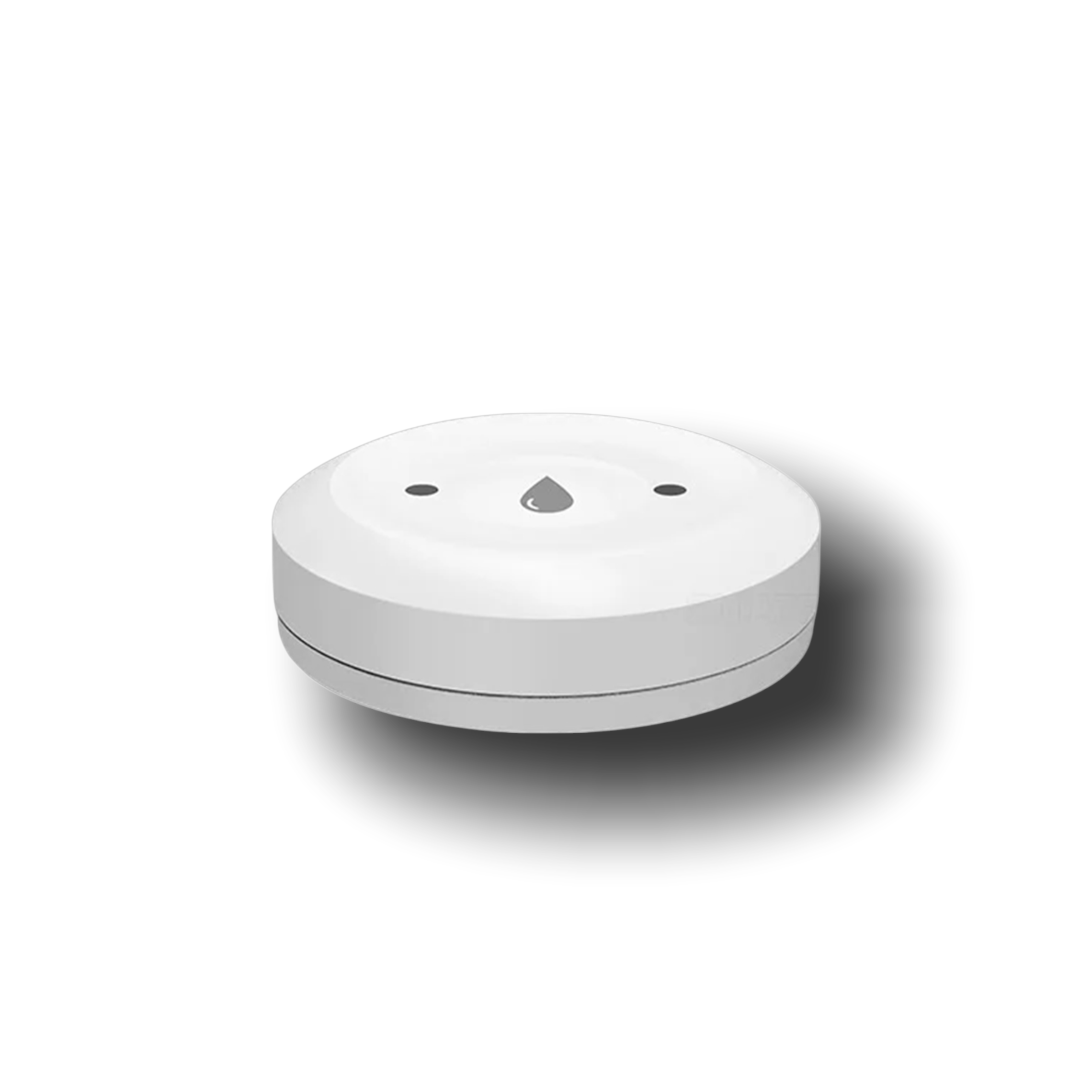 Smart Water Leakage Sensor