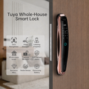 Smart 3D Face Recognition Lock