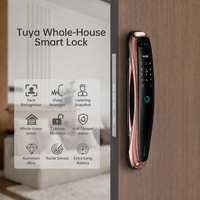 Smart 3D Face Recognition Lock