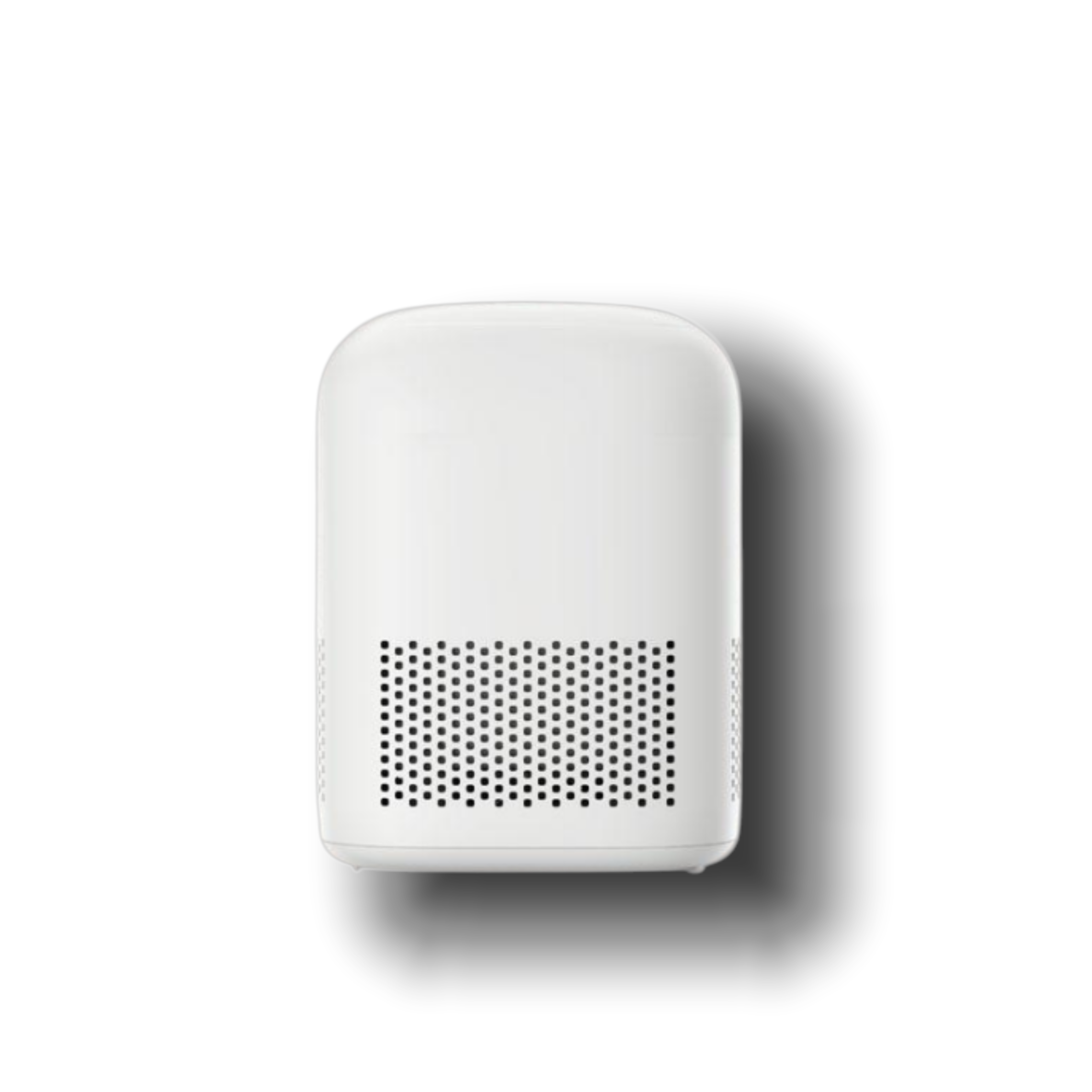 AI Speaker